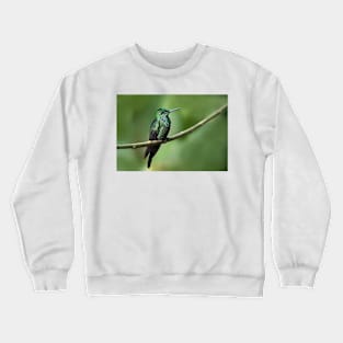 Green-Crowned Brilliant Hummingbird - Costa Rica Crewneck Sweatshirt